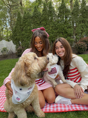 PATRIOTIC DOG BANDANA | VINEYARD BELLE